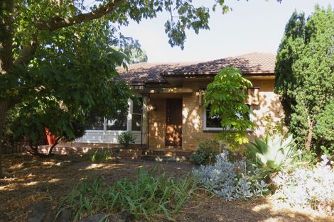 38 Barnes Ave, Magill, SA 5072