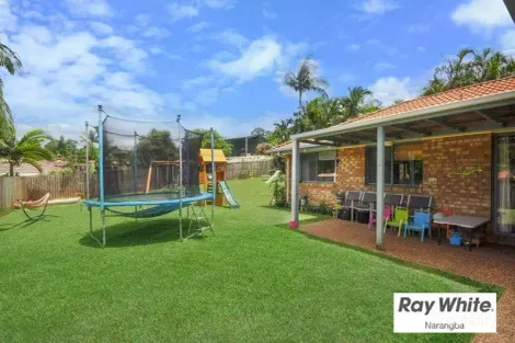 Property photo of 3 Hakea Court Narangba QLD 4504
