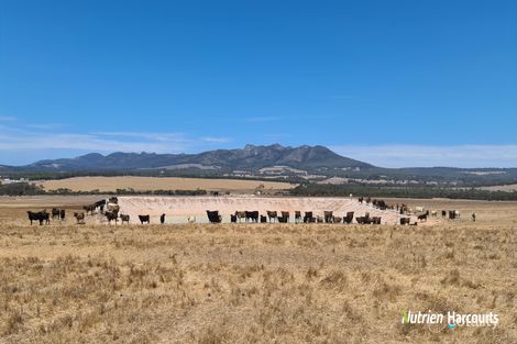 94 Tingelup Rd, Porongurup, WA 6324