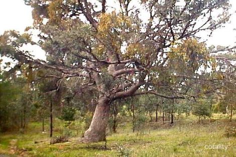 Property photo of 699 Pyrenees Highway Chewton VIC 3451