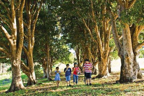 Property photo of 4 Cycad Close Mount Cotton QLD 4165