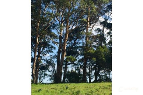 Property photo of 118 Cussons Road Shadforth WA 6333