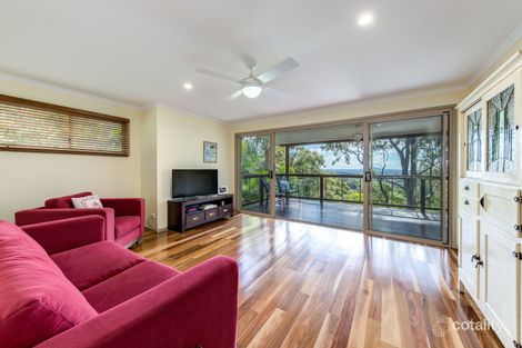 Property photo of 19 Pertaka Street Buderim QLD 4556