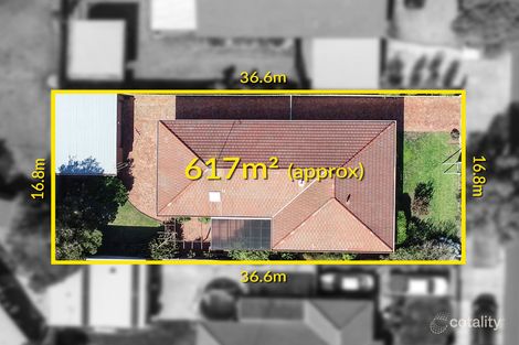 Property photo of 44 Gloucester Street Grovedale VIC 3216