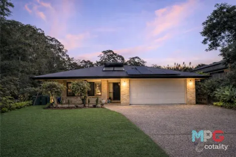 14 Red Jacket Ct, Palmwoods, QLD 4555