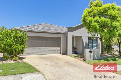 11 Amsonia Ct, Arundel, QLD 4214