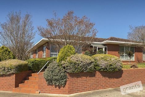 61 St Boswells Ave, Berwick, VIC 3806