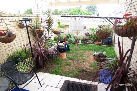 Property photo of 3/34-36 Penguin Road Shoalwater WA 6169