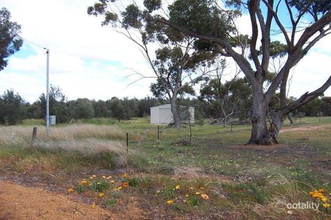 16 Boddington St, Wagin, WA 6315