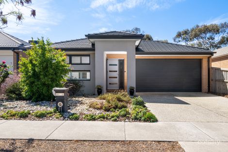 41 Flagstaff Dr, Portarlington, VIC 3223