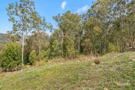 Property photo of 42 Regal Drive Canungra QLD 4275