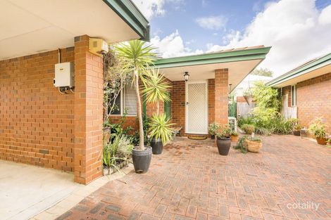 Property photo of 3/1 Berkeley Avenue Nollamara WA 6061