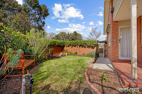 Property photo of 19 Glyndon Road Camberwell VIC 3124