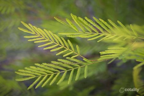 Property photo of 5 Pinto Avenue Cobbitty NSW 2570