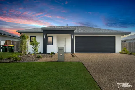 Property photo of 19 Pepperbush Circuit Mount Low QLD 4818