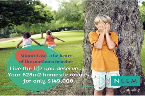 Lot 128 Dragon Flower Ave, Mount Low, QLD 4818