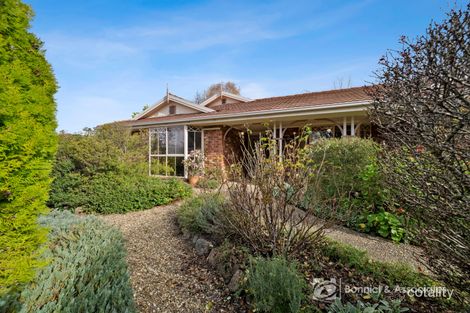 Property photo of 19 Malakoff Road Beechworth VIC 3747