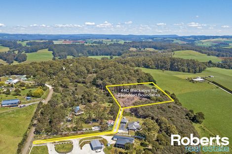 44c Blackabys Rd, Boat Harbour, TAS 7321