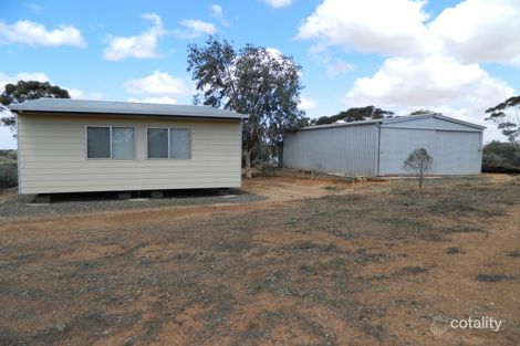 Property photo of 13 Petters Road Morgan SA 5320
