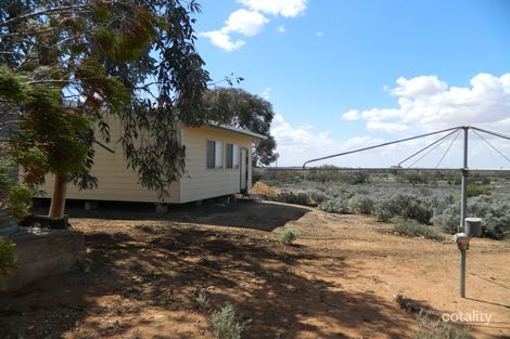 Property photo of 13 Petters Road Morgan SA 5320