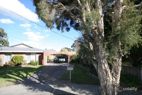 6 Dundee Pl, Wantirna, VIC 3152