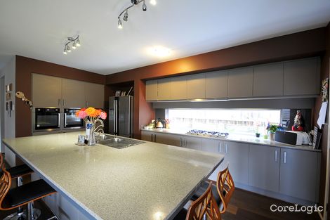Property photo of 7 Allyn Street Ormeau Hills QLD 4208