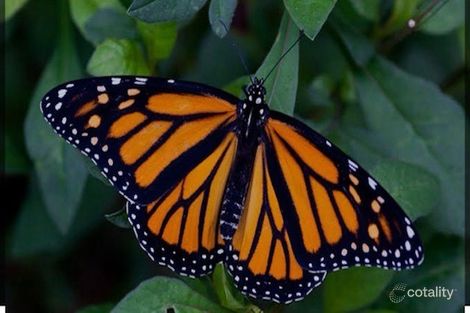 776 Oxley Flats Rd, Oxley Flats, VIC 3678