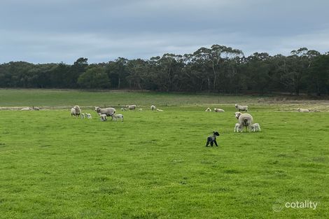 79 Stringy Bark Rd, Burrungule, SA 5291