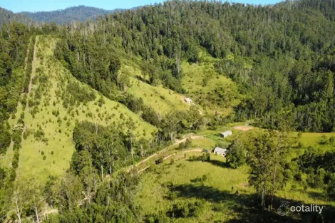 222 Pappinbarra Road Left Arm, Upper Pappinbarra, NSW 2446