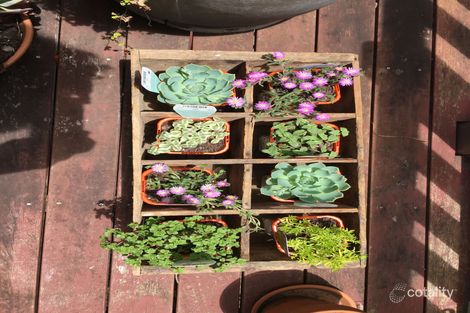 Property photo of 36 Keith Street Clovelly NSW 2031