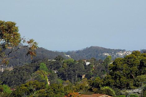 Property photo of 83 Koola Avenue East Killara NSW 2071