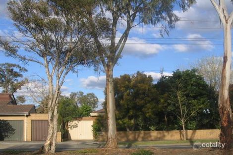 3/241-243 Blackburn Rd, Blackburn South, VIC 3130