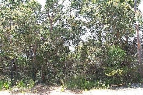 76 Minor Rd, Orana, WA 6330