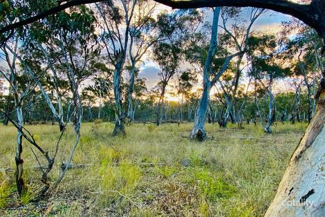 Property photo of 588 Nullawa Road Tambar Springs NSW 2381