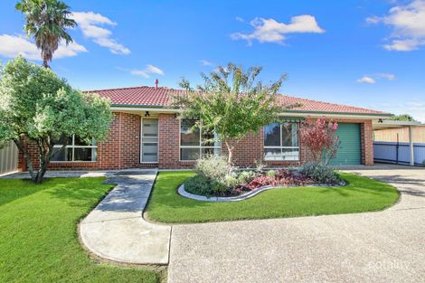 2/554 Moffat St, Lavington, NSW 2641