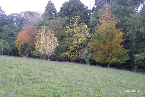 Property photo of 44 Beaconsfield-Emerald Road Emerald VIC 3782