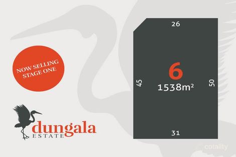 6 Egret St, Moama, NSW 2731