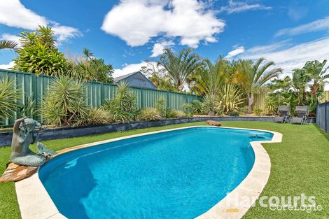 Property photo of 33 Yallambee Crescent Wanneroo WA 6065