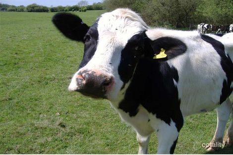 8 Elm Pl, Helena Valley, WA 6056