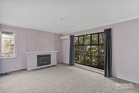 Property photo of 20 Apanie Crescent Chigwell TAS 7011