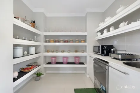 Property photo of 30 Shelduck Street Upper Coomera QLD 4209