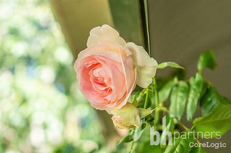 Property photo of 9 James Street Balhannah SA 5242