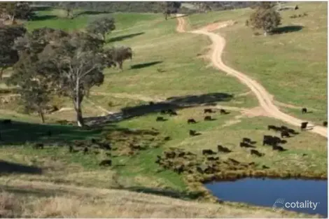 2102 Turondale Rd, Turondale, NSW 2795