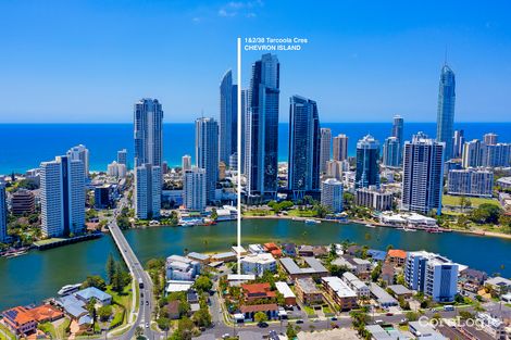 Property photo of 38 Tarcoola Crescent Surfers Paradise QLD 4217