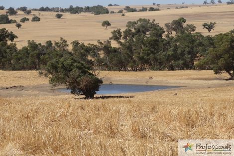 598 Culbin-Boraning Rd, Williams, WA 6391