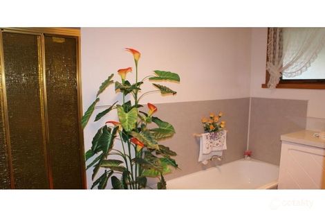 Property photo of 12 Native Rock Road Railton TAS 7305