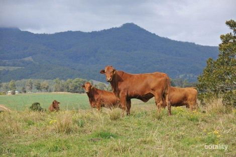 Property photo of 30 Crams Road Pumpenbil NSW 2484