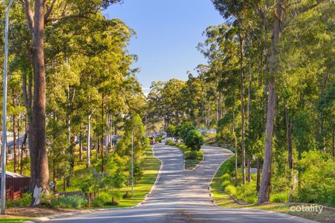 Property photo of 18 Black Caviar Parade Port Macquarie NSW 2444