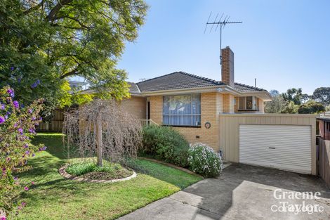 Property photo of 16 Albert Terrace Belmont VIC 3216