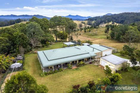 Property photo of 164 Helliwells Road Missabotti NSW 2449